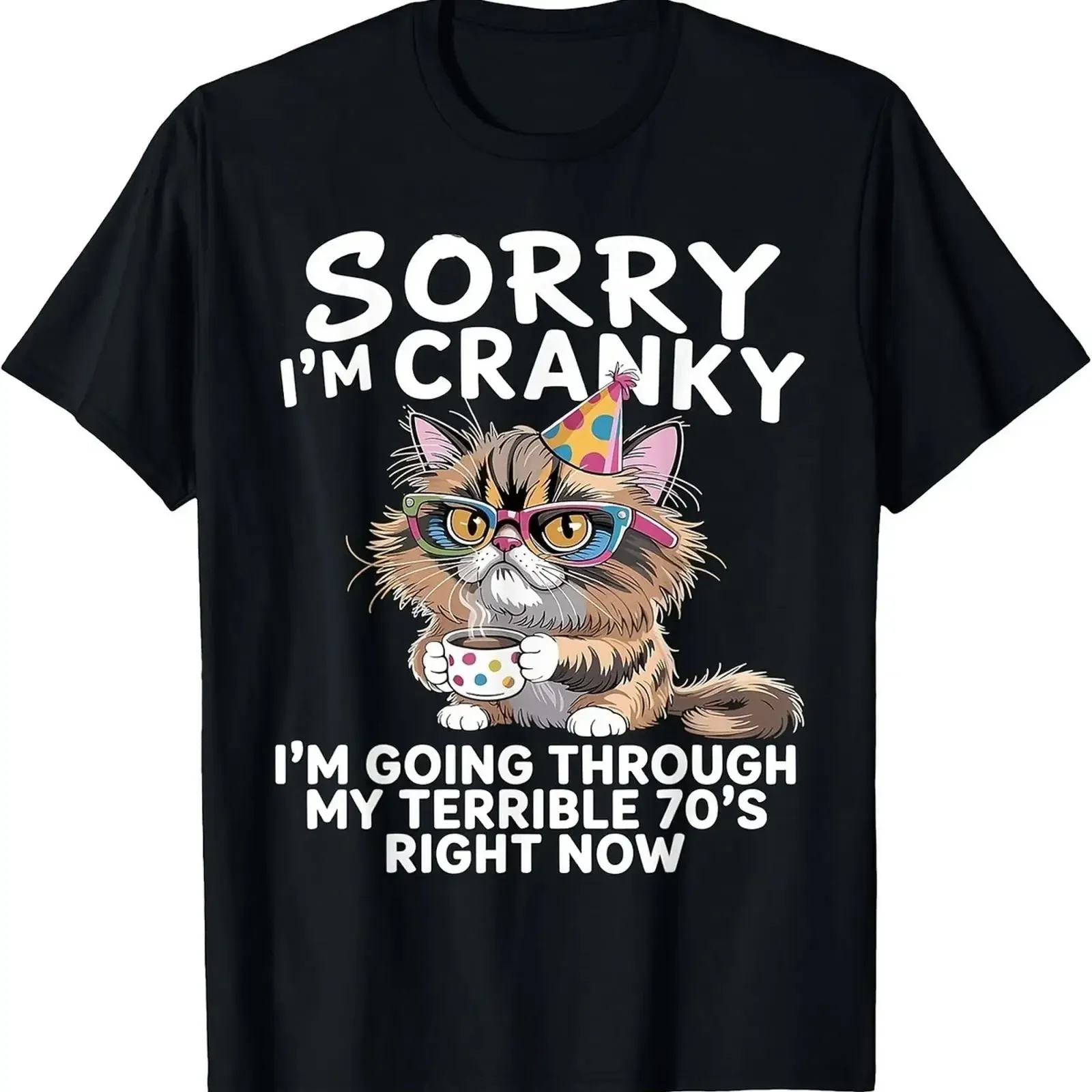 Sorry I'm Cranky Going Through My Terrible 70 s T ShirtEveryday Sportswear vintage Washed Top For Everyday Wear streetwear