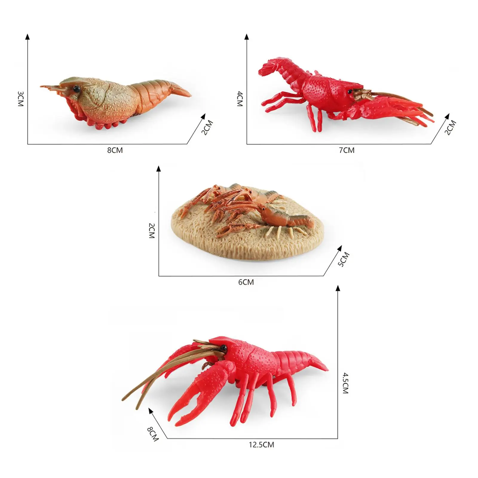 Lobster Life Cycle Model ชีววิทยาของเล่นวงจรชีวิตที่สมจริง Lobster Sea