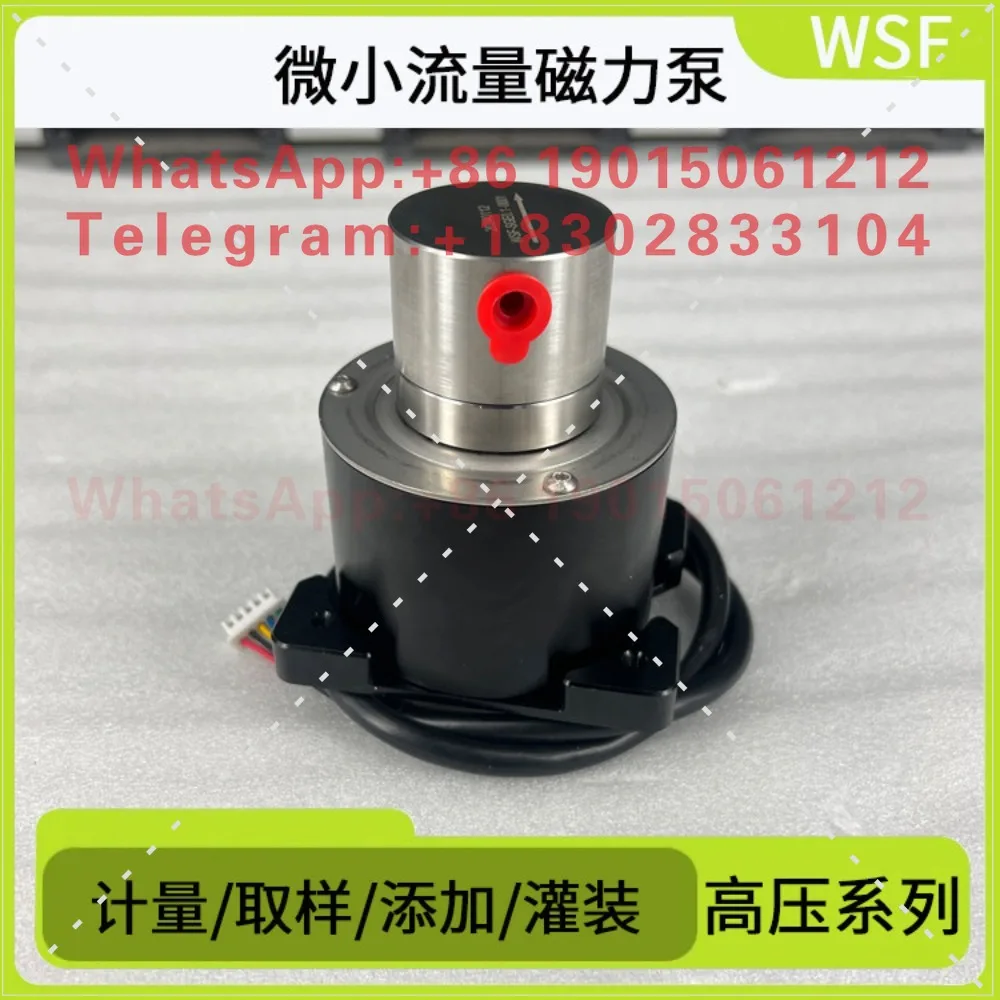 WSF Magnetic Drive Pump, Micro Flow High Pressure Gear Pump Electrolyte Methanol Hydrogen Production Pump