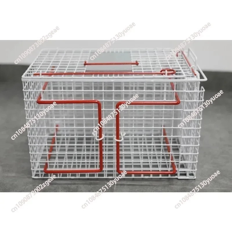 Thumbnail 3 - #83 Best Cat Doors to Buy In 2026