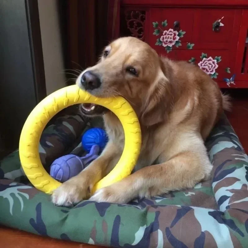 3/4Pcs EVA Dog Training Toy Set Floating Water Interactive Solid Ball Pull Ring Flying Disc for Large Small Dogs