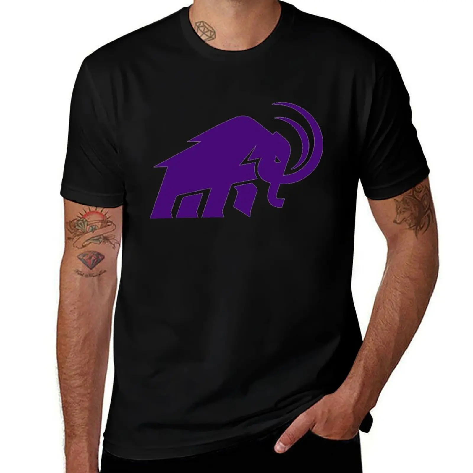 

Amherst College Logo T-Shirt tees tops aesthetic clothes heavyweight t shirts for men