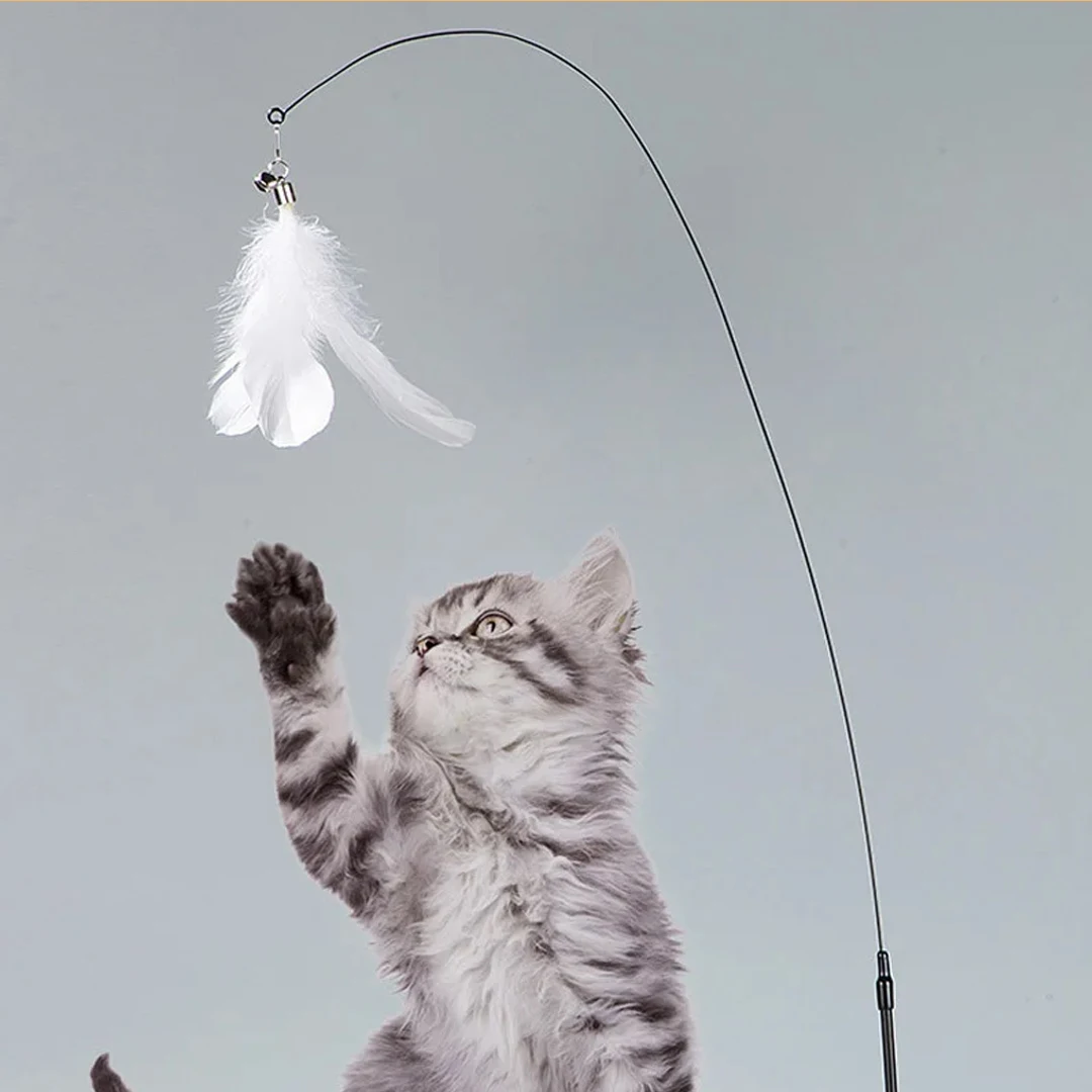 Katzen feder Spielzeug Teaser Feder Zauberstab interaktives Spielzeug Katzen spielzeug mit Super Saugnapf abnehmbares 3 Stück Feder Ersatz spielzeug – Detail 2