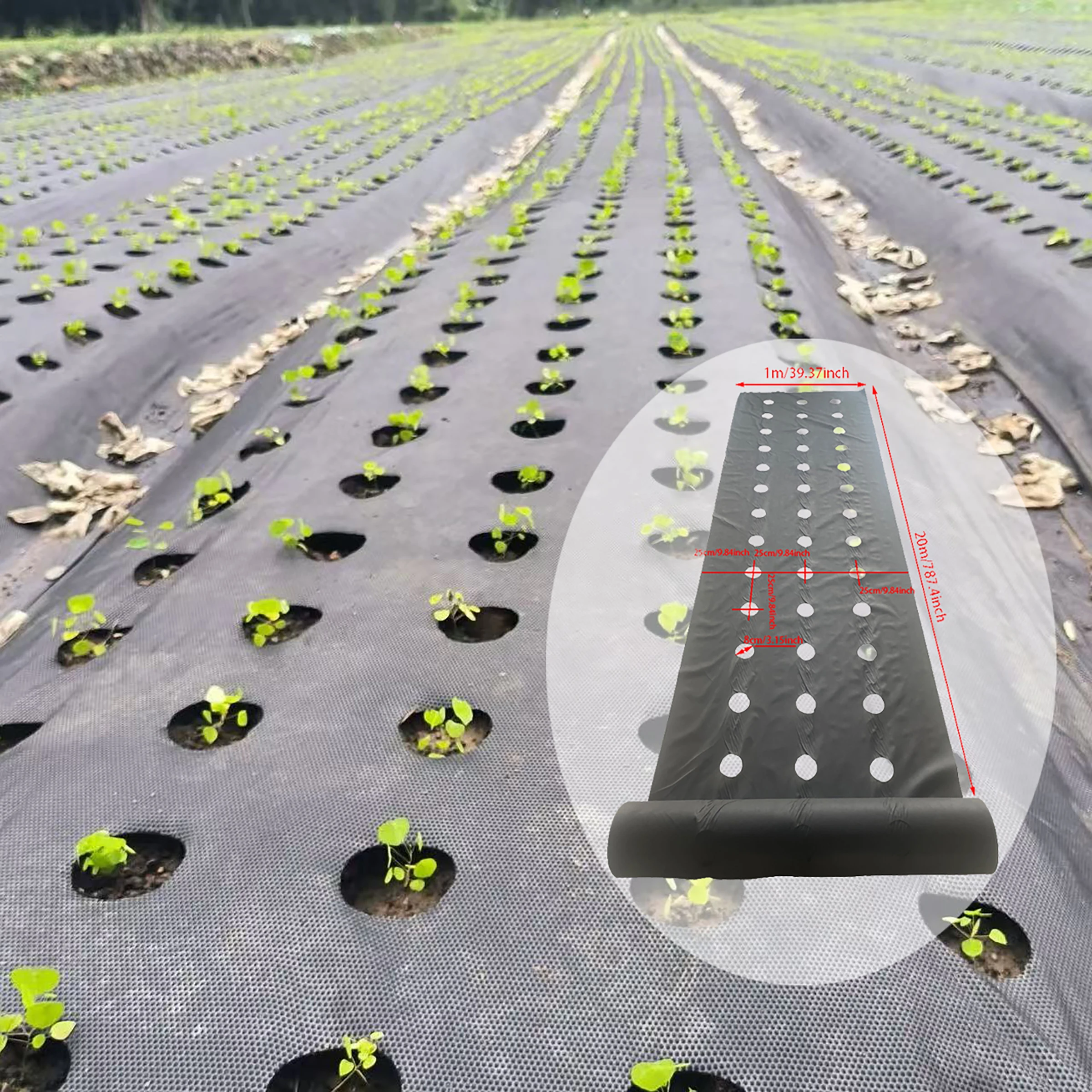 

Перфорированный черный барьер для сорняков, подходящий для домашнего садоводства, посадки клубники и овощей для предотвращения сорняков и уменьшения рабочей нагрузки.