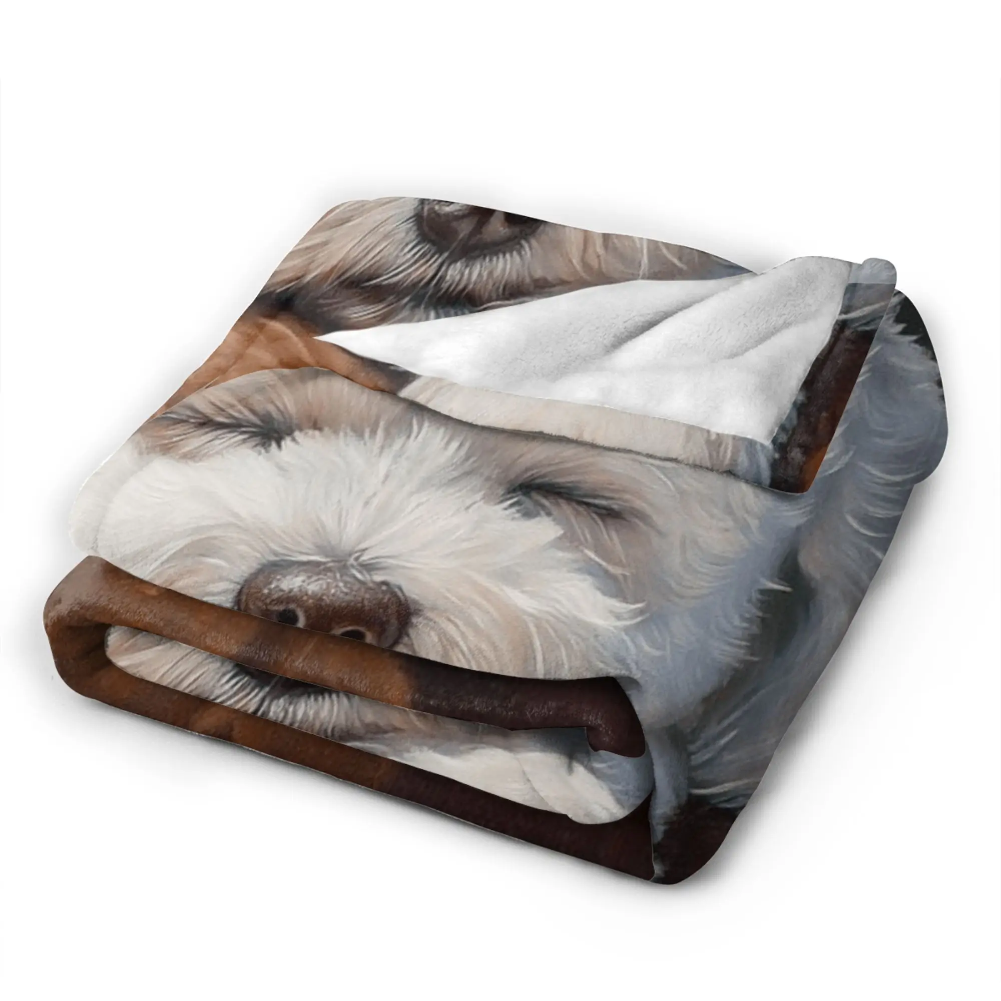 Cute Bichon Frise Super Soft Blanket For Living Room  Pattern Throw Blanket Autumn Picnic Flannel Bedspread