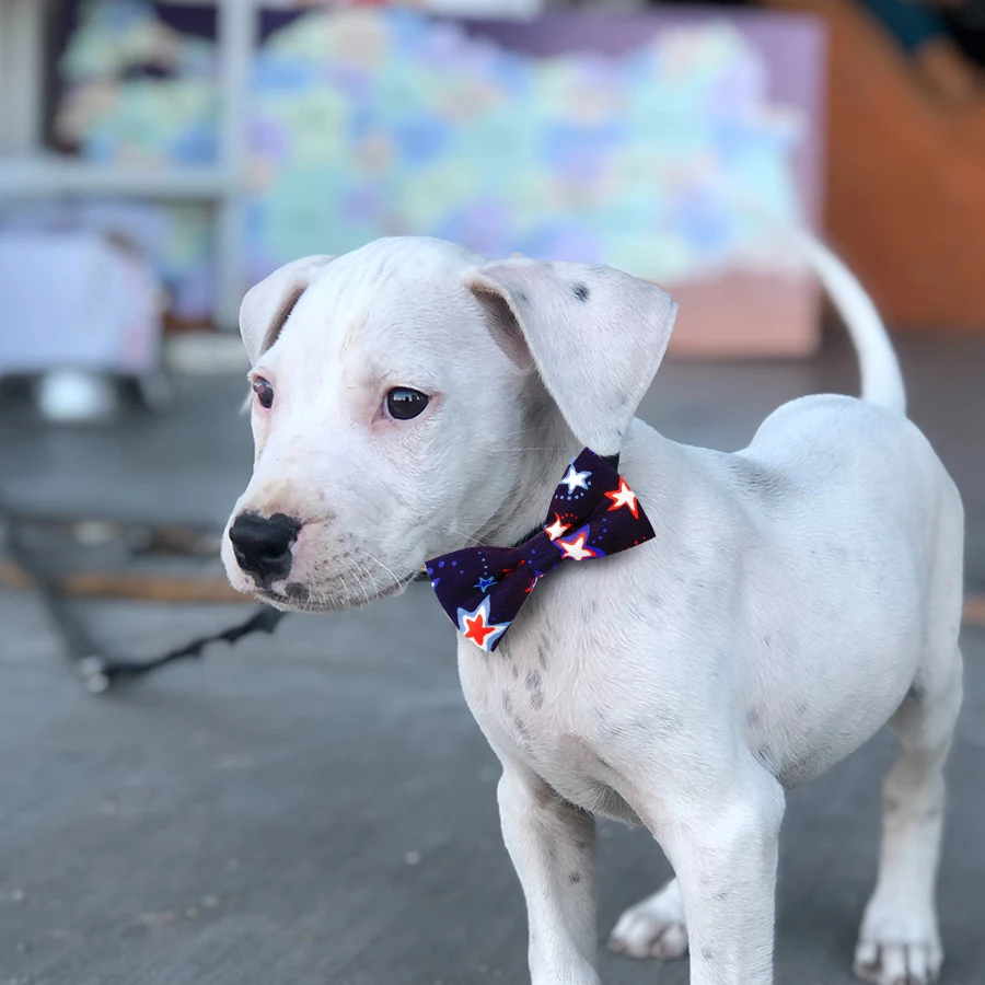 50/100ps American Independence Day Dog Accessories Dog Collar Bow Tie Slidable Dog Collar Accessories Pet Supplies For 4th July