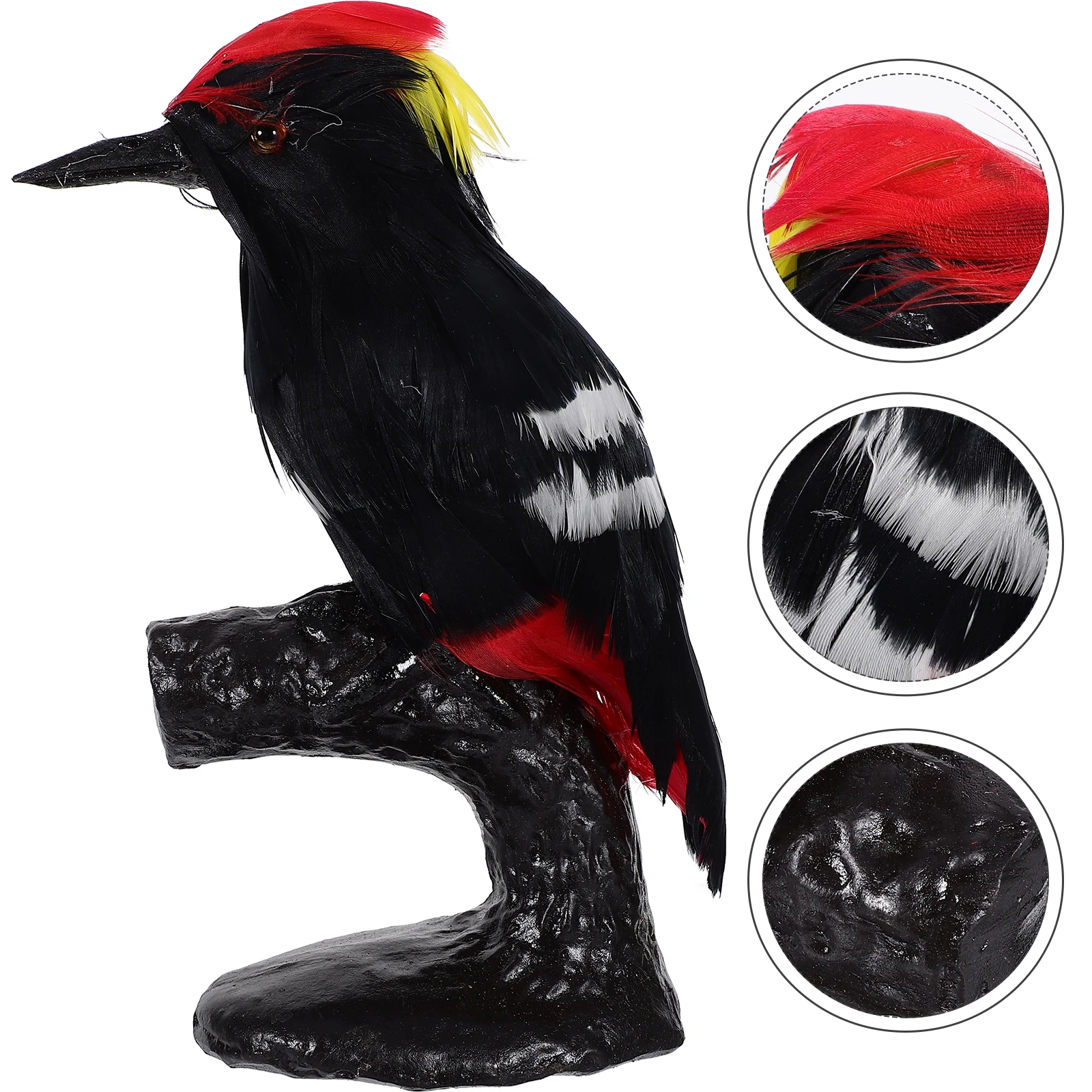 

1pc Woodpecker Bird Hard Model Simulation Bird Teaching Prop Ornament Decoration for School Office