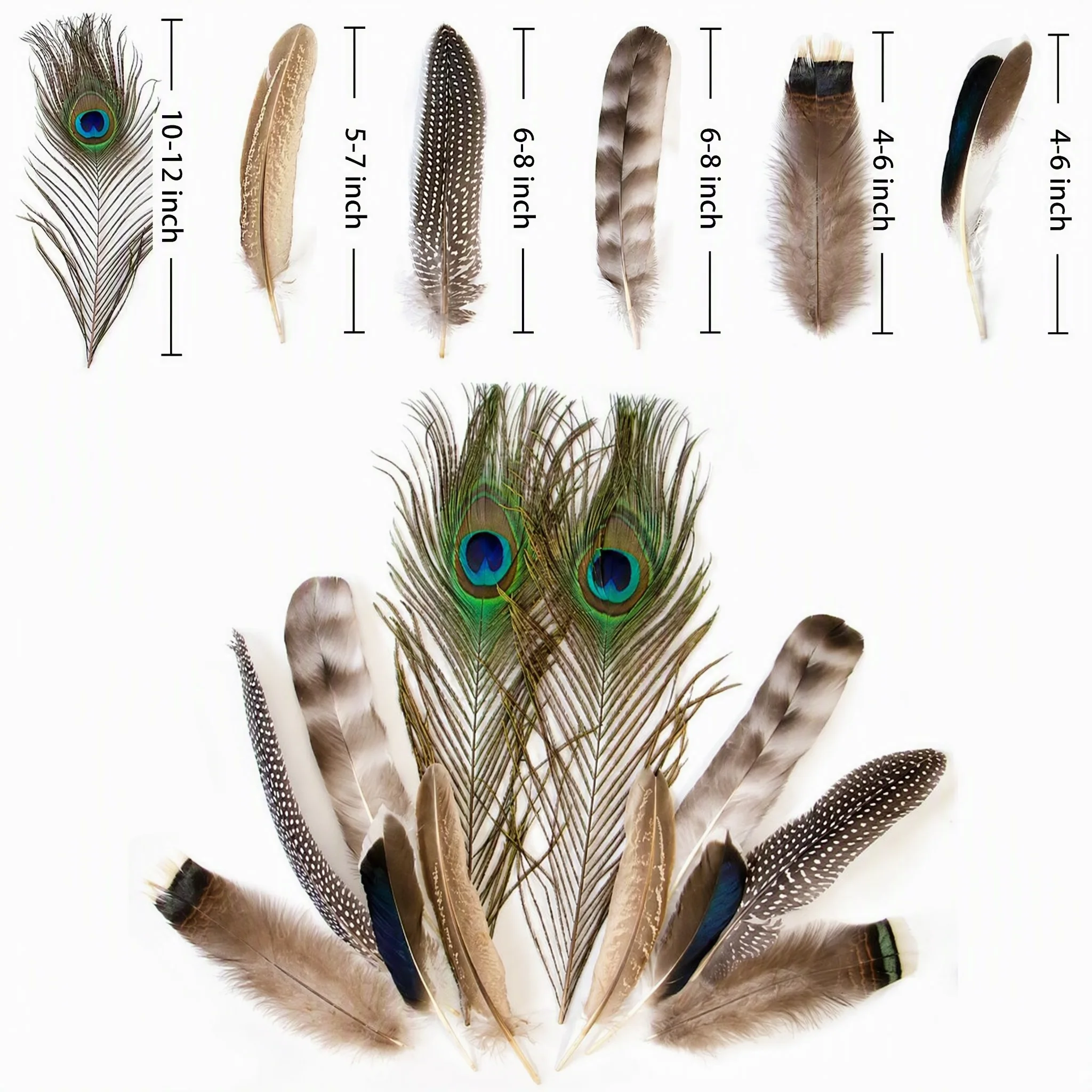 48 Stück 6 Stile Natürliche Pfauen-, Fasanen- und Truthahnfedern in Großpackung für DIY-Kränze, Schmuck, Hüte, Hochzeiten, Partys und Basteldekorationen