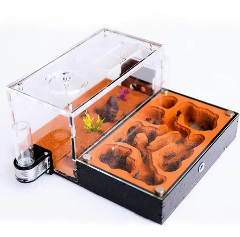 New Design Formicarium Ant Farm Nest Pet Product for Ant Lovers