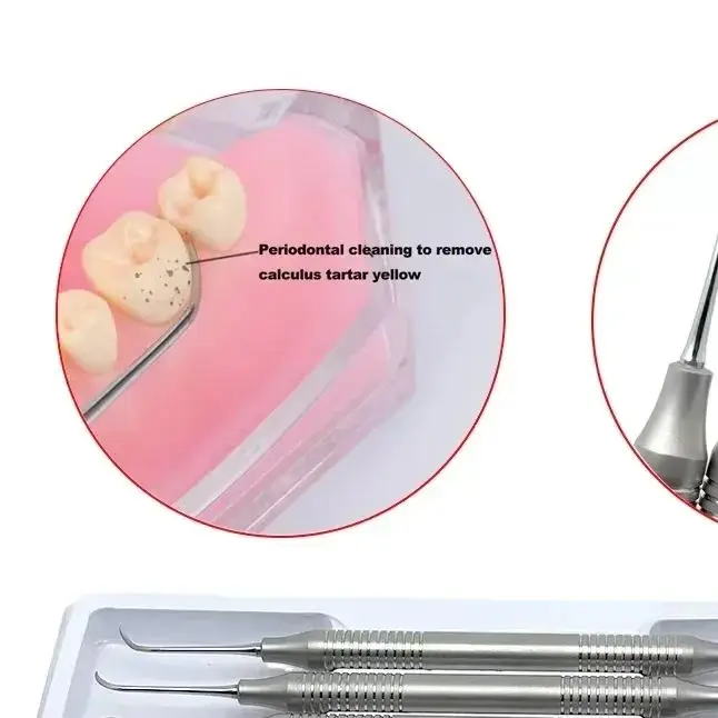 

4Pcs Stainless Steel Dental Tooth Scaler Kit Dental Double-Ended Design Teeth Cleaning Tool Dentistry Oral Care Whitening Tools