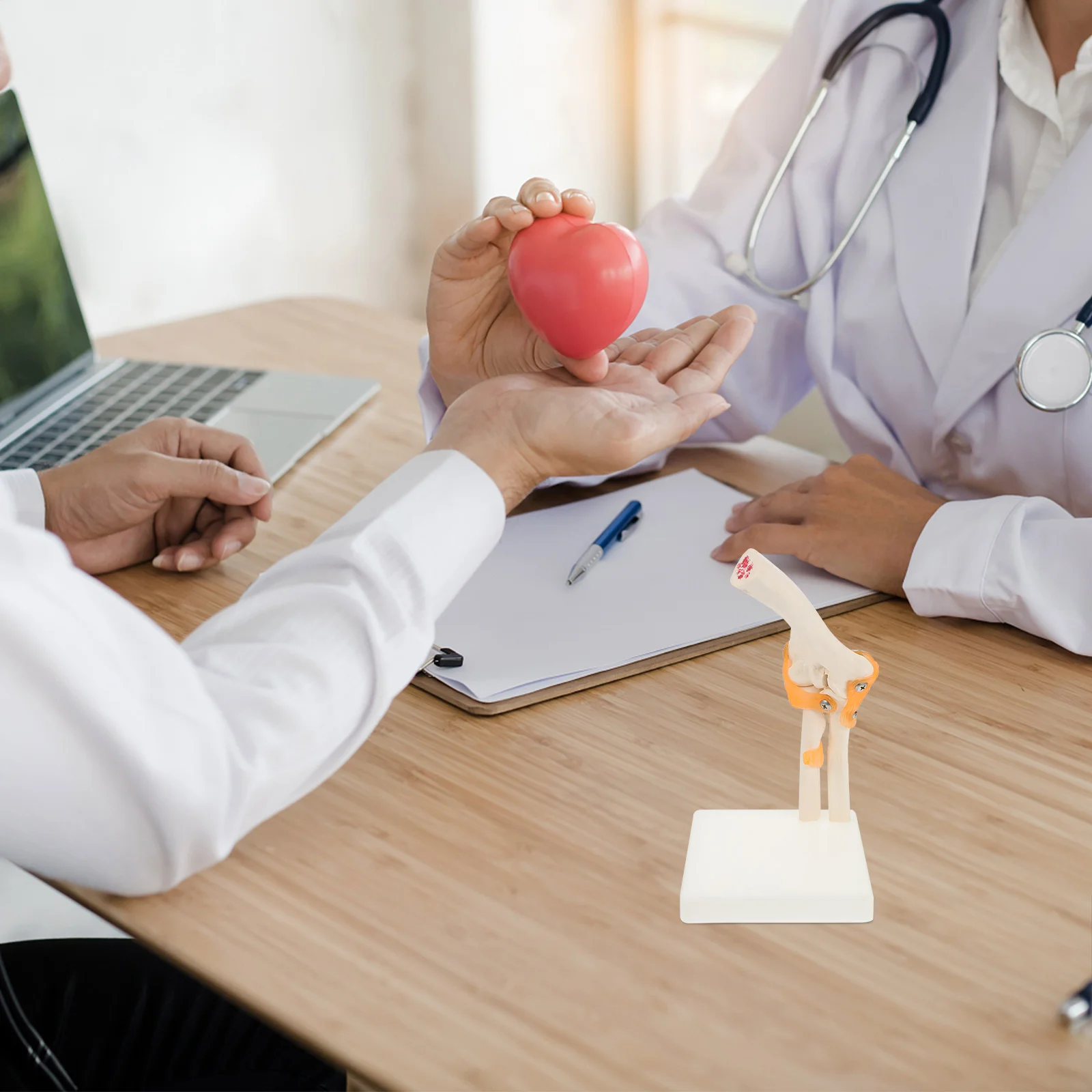 1 Pc Elbow Joint Model Human Model Human Elbow Bone Elbow Model Ancon Joint Model Elbow Bone Model