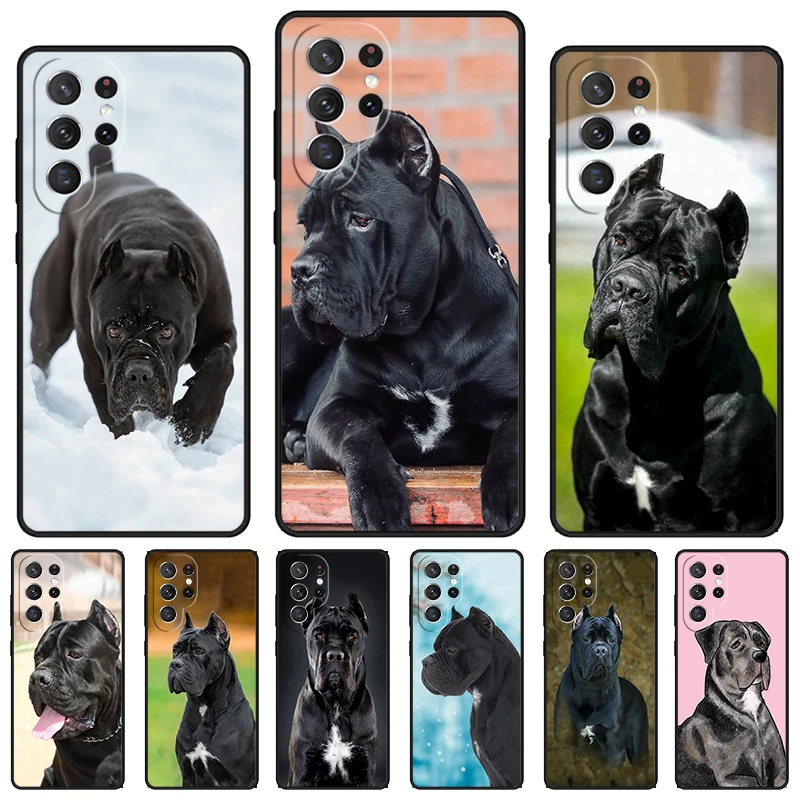 Funda de teléfono italiana Cane Corso Mastiff Dogs para Samsung Galaxy S24 S25 S23 S22 Ultra Note 10 20 Plus S20 S21 FE