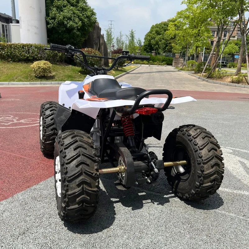 CE Certified 125cc Youth Style ATV Customizable 4-Wheeler Semi-Automatic Chain Drive Transmission Safety Devices Various Colors