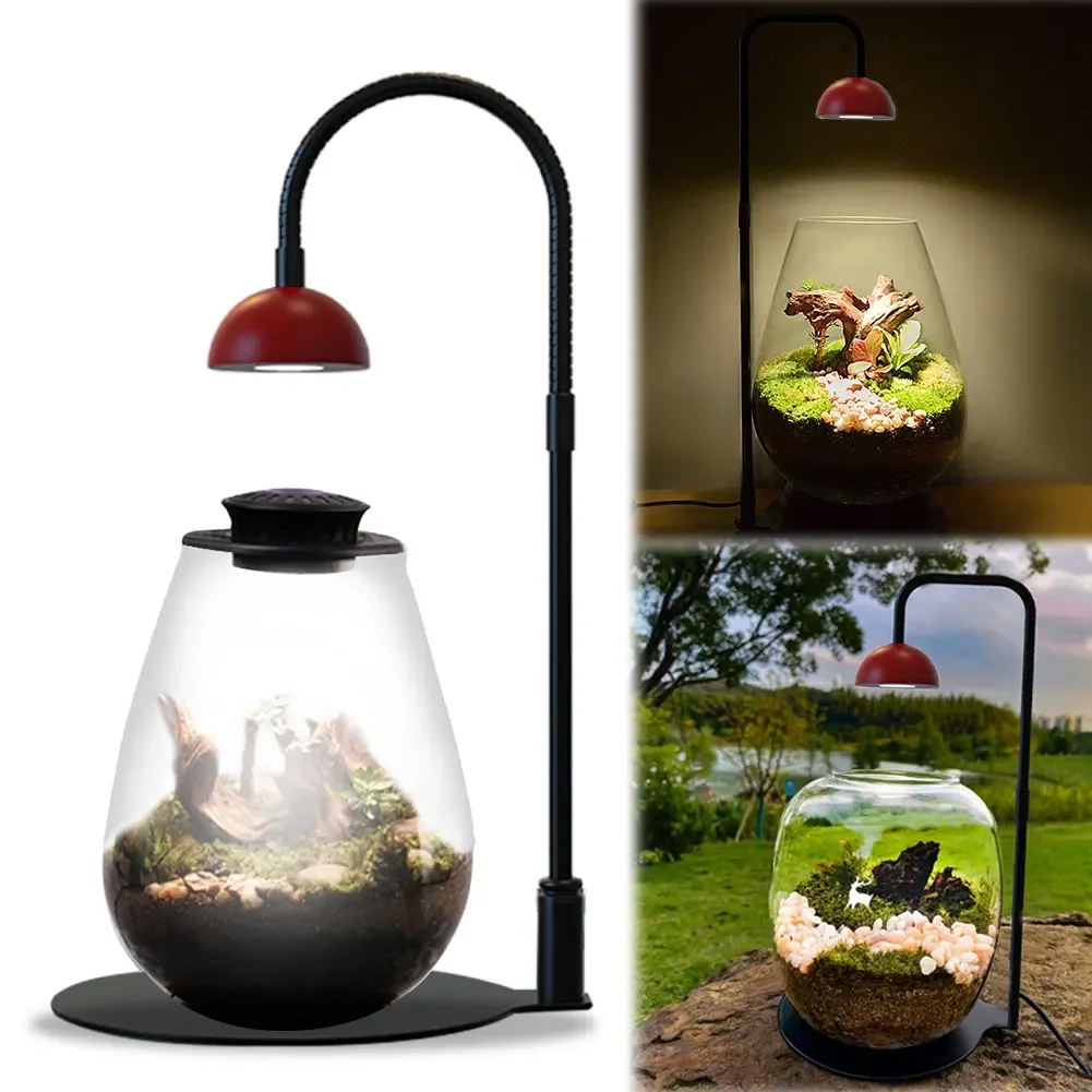 Micro Landscape Plant Growth Lamp Height Adjustable Fish Tank Light Indoor Plant Growth Lamp for Desktop Glass Plant Terrarium