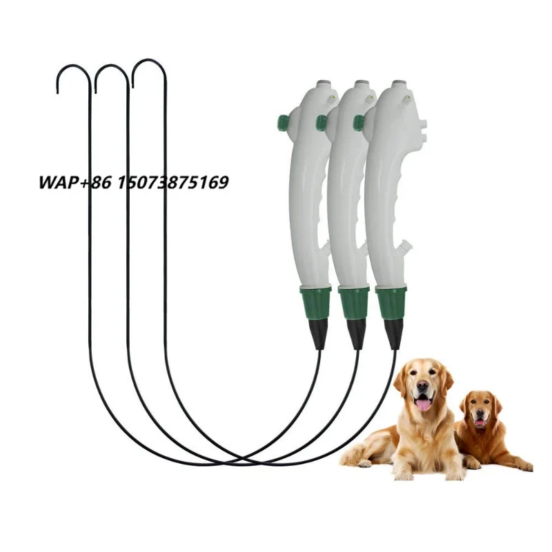 Disposable endoscope flexible probe portable tool for daily examination and treatment in veterinary clinics