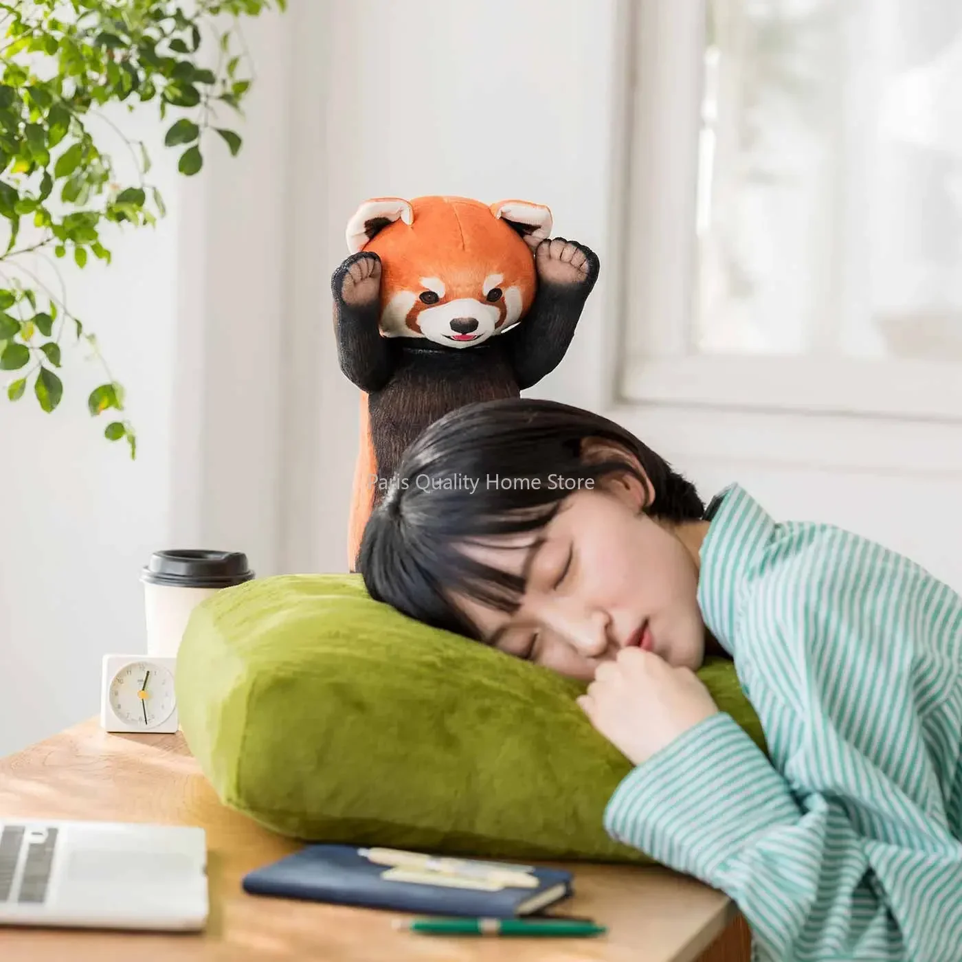 

Ornament Creative Home Gift Siesta-Cute Cartoon Raccoon Cushion Pillow Red Panda Plush Doll