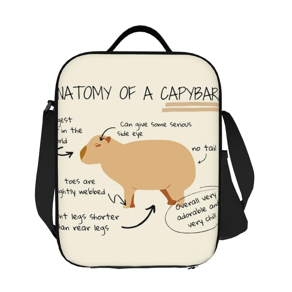 

Custom Anatomy Of A Capybara Insulated Lunch Bags for Work School Waterproof Cooler Thermal Lunch Box Women Children