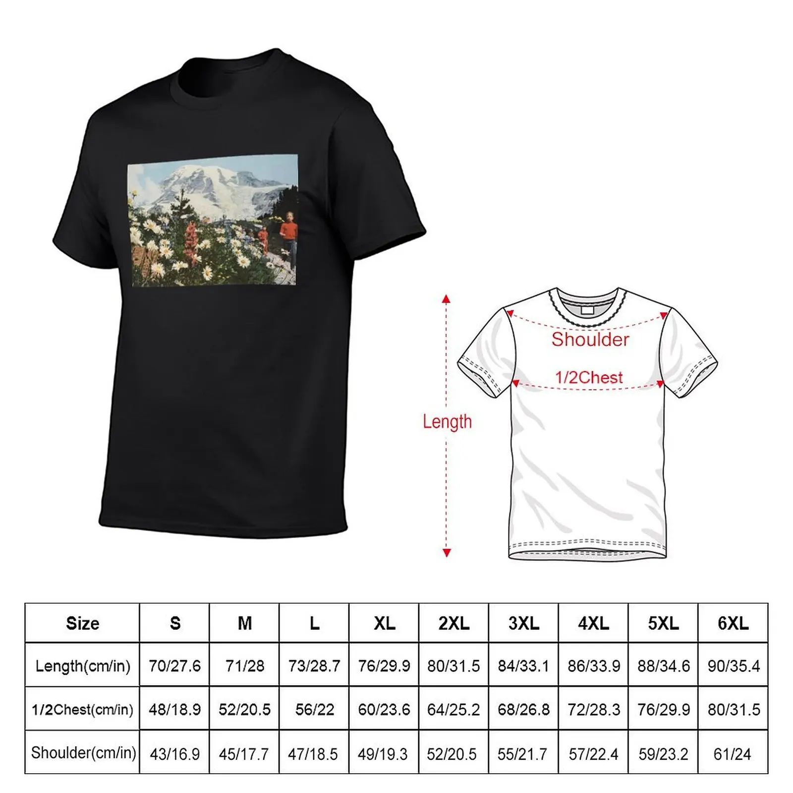 their satanic majesties second request T-Shirt man clothes tops t shirts for men graphic