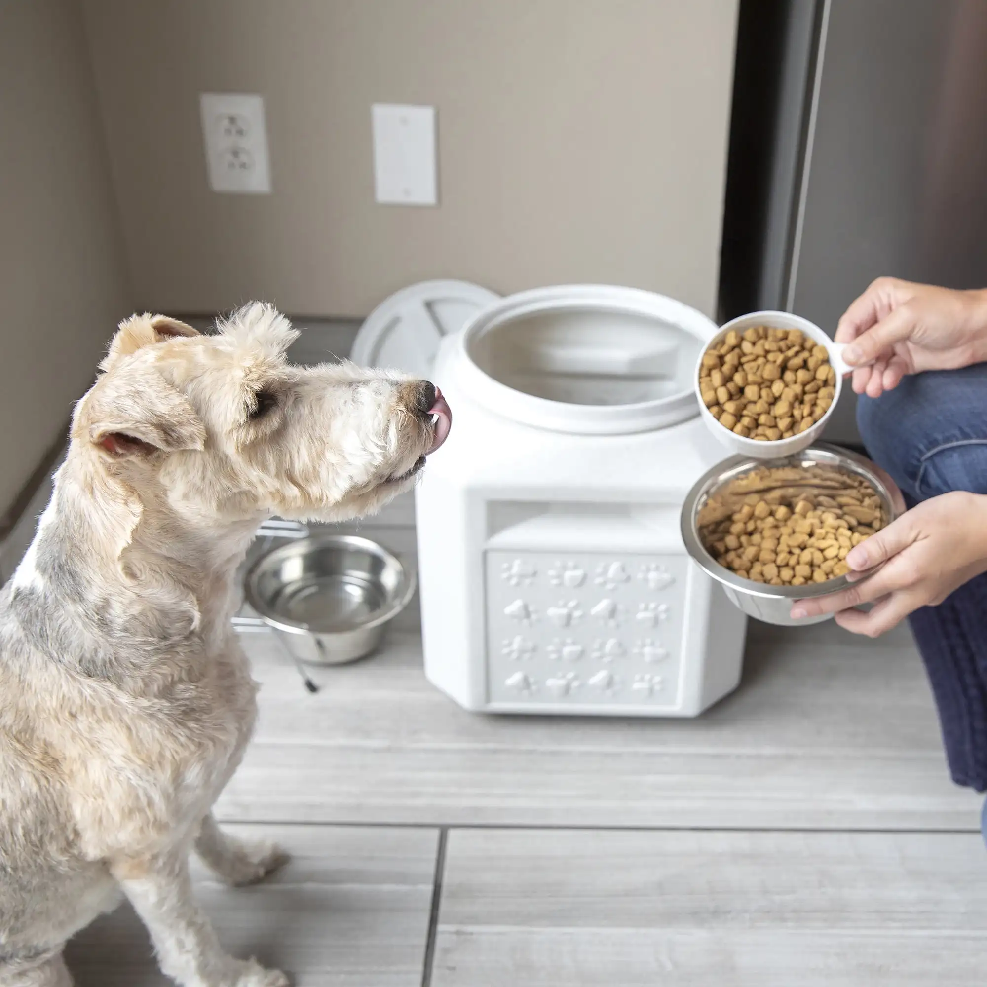 Contenedor de plástico para almacenamiento de alimentos de mascotas, contenedor de plástico con capacidad de 25 libras, modelo Gamma2 Vittles Vault Outback Pawprint, color gris