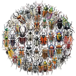 50PCS Vintage Insect Stickers Pack Stationery Laptop Guitar Phone Suitcase DIY Sticker Handmade Journaling PET Materials Decals﻿