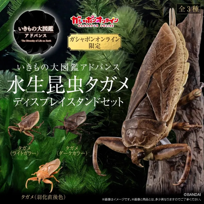 Original Bandai Big Biological Map Osmanthus Cicada Aquatic Insect Gashapon Anime Action Figure Model Toys Gifts Collection