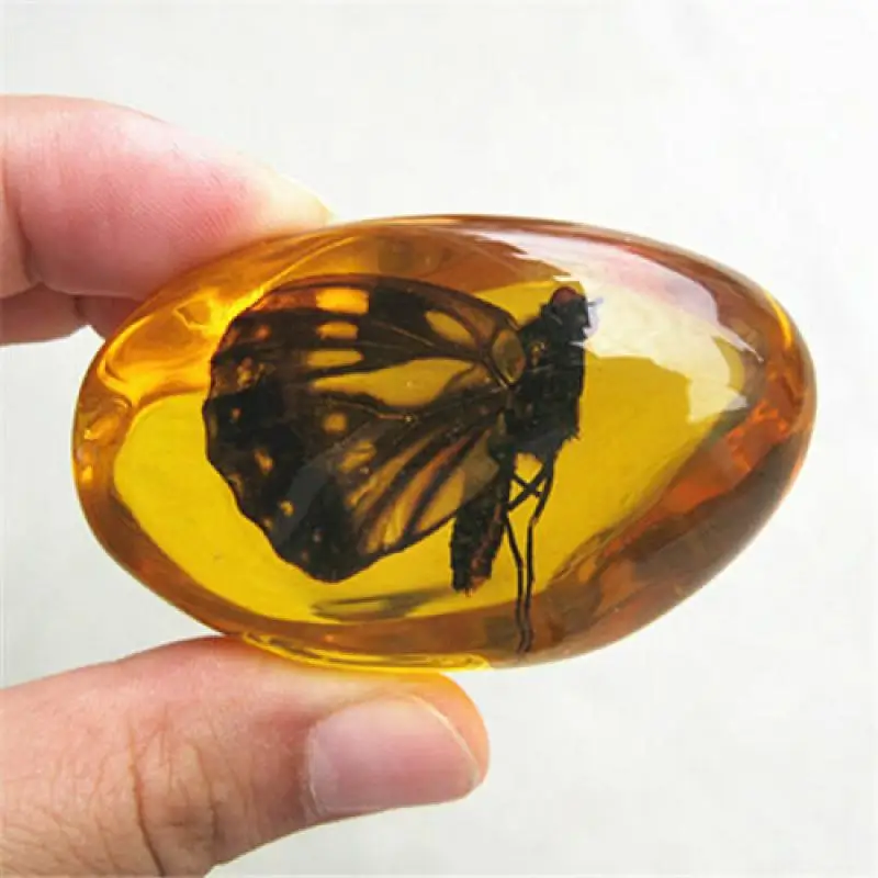 Artificial Amber Butterfly Insect Specimen Stone Manual Polishing Resin Gemstone Desktop Collection Home Decor Ornament