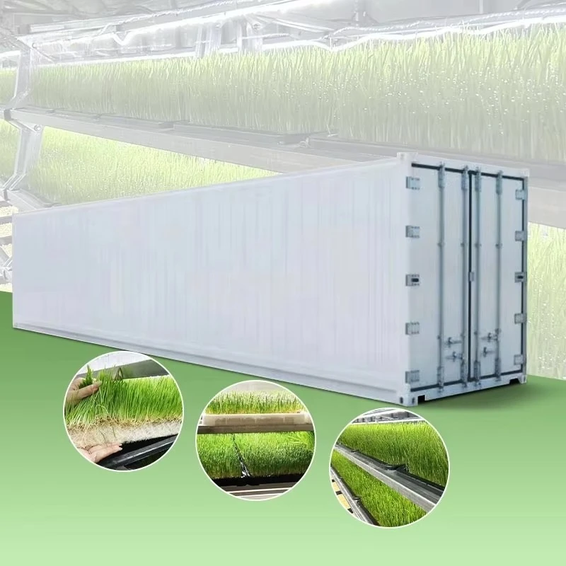 Custom Large Smart Farmmushroom Grow Box 40ft Farm Suitable for Mushroom and Forage Cultivation