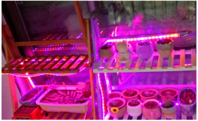 LED Grow Light Spectrum เต็ม USB Grow Light Strip 0.5 M 1 M 2 M 3 M 2835 ชิป LED phyto โคมไฟพืชดอกไม้ Hydroponic เรือนกระจก