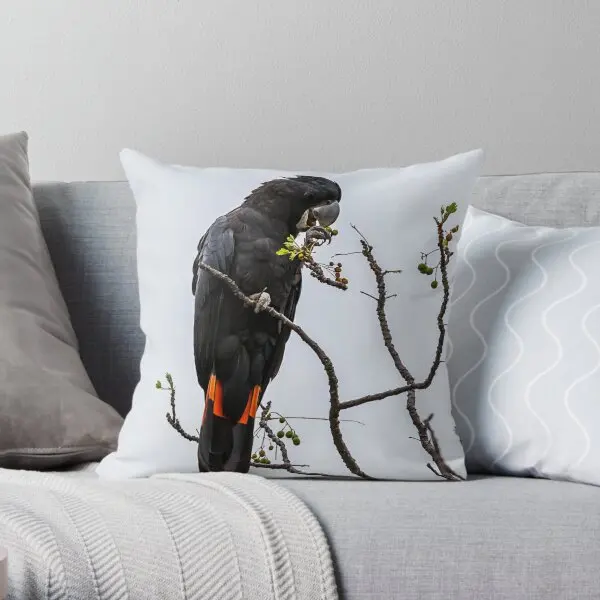 Animal Collection Black Cockatoo Red T  Printing Throw Pillow Cover Fashion Case Soft Hotel Throw Pillows not include One Side