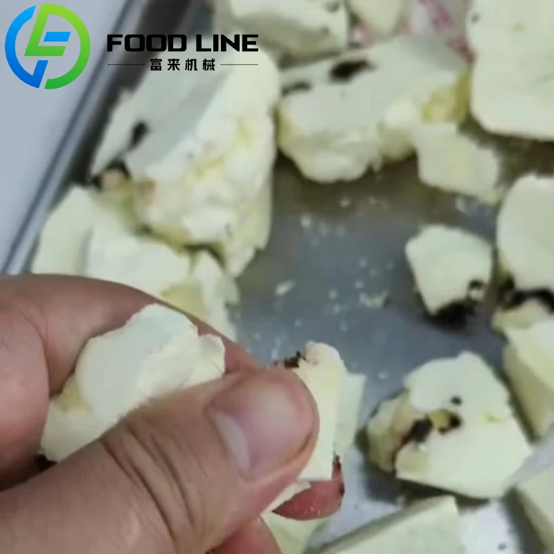 Food Lyophilizer High Quality Mini Freeze Drying Machine Food Fruit Dehydrators Home Freeze Dryer for Sale