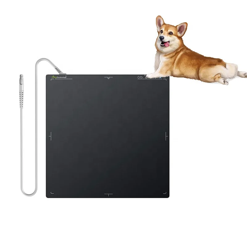 Veterinary Digital Medical X-ray Radiography System with Iray 1717XV Flat dr Panel Detector