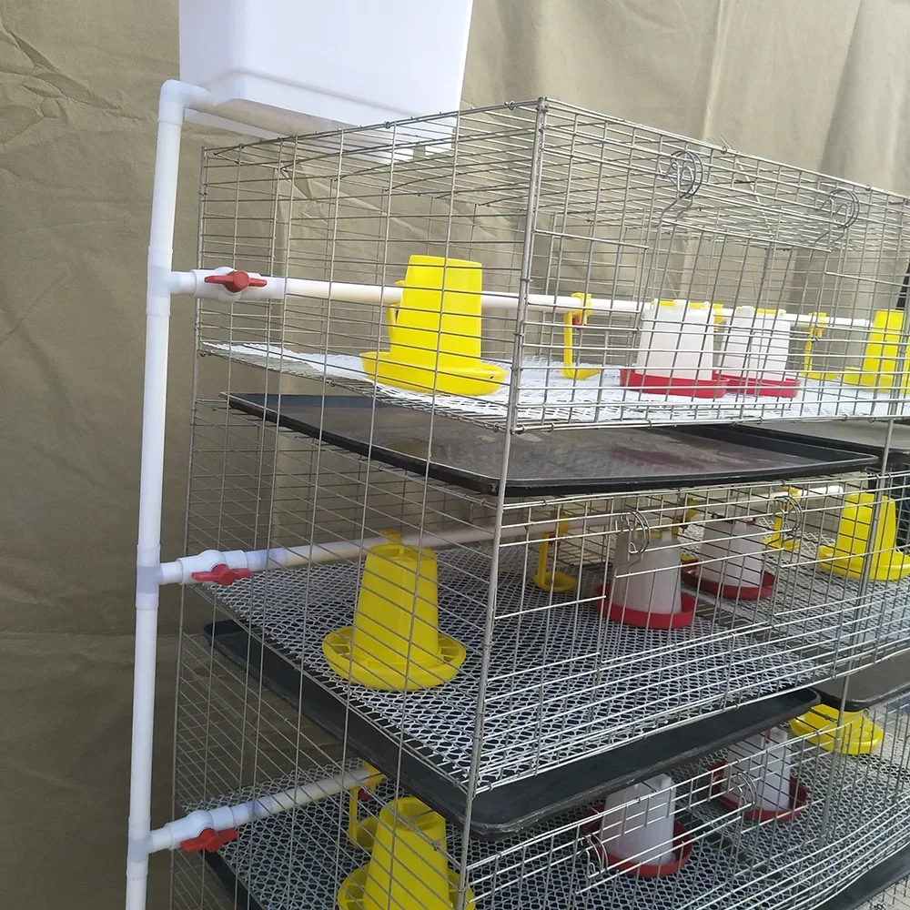 Moderne Baby-Kükenfutter, Geflügelfarmausrüstung, H-Typ, automatisches Batterie-Broiler-Hühnerkäfig-System für 1000 Vögel