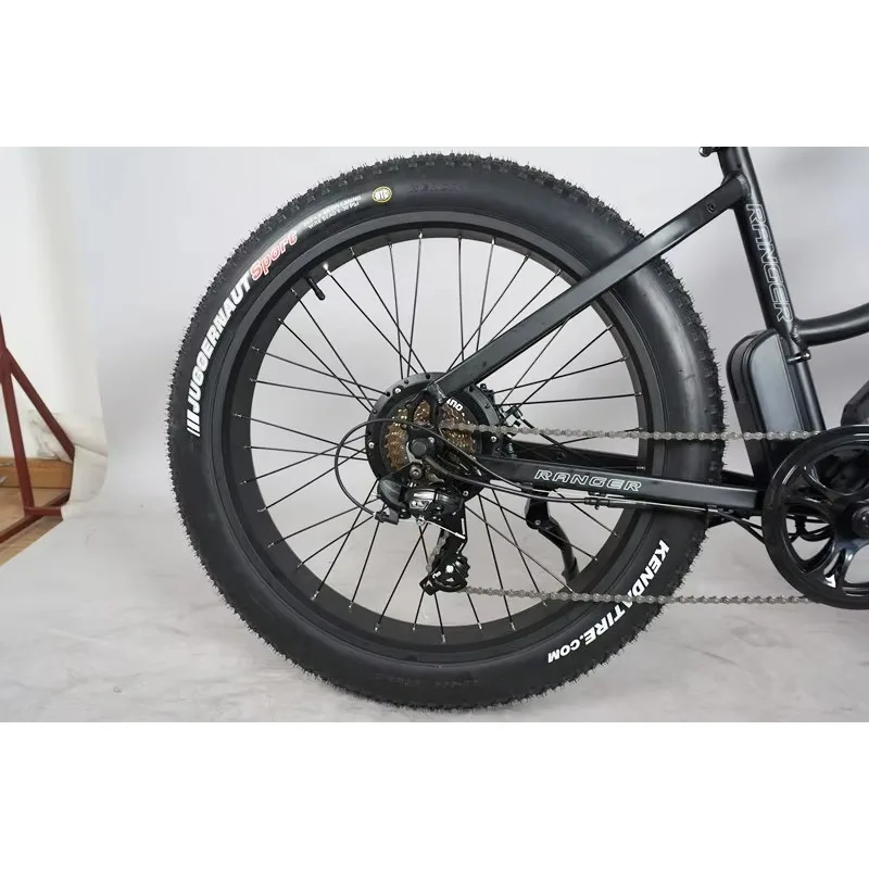 China Popular Mountain Electric Bike 48V 12.5AH Fat Tire Electric Bicycle with 500W  Motor