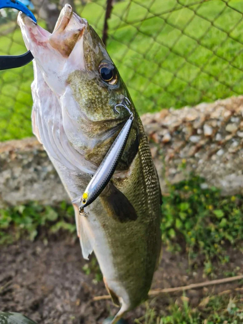 KINGDOM SP Shadow Angelköder 6,5 g 9 g 14 g 14,2 g Suspending Minnow Wobbler Kurbelköder Künstlicher Seebarsch Hecht Angelgerät – Detail 1
