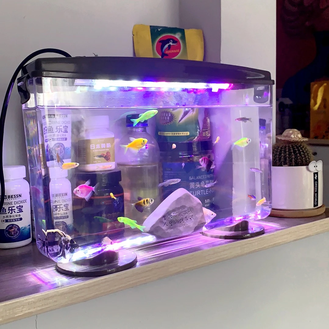 Small Fish Shrimps Turtle Tank - огляд і ціна Aquarium Fish In Bowl