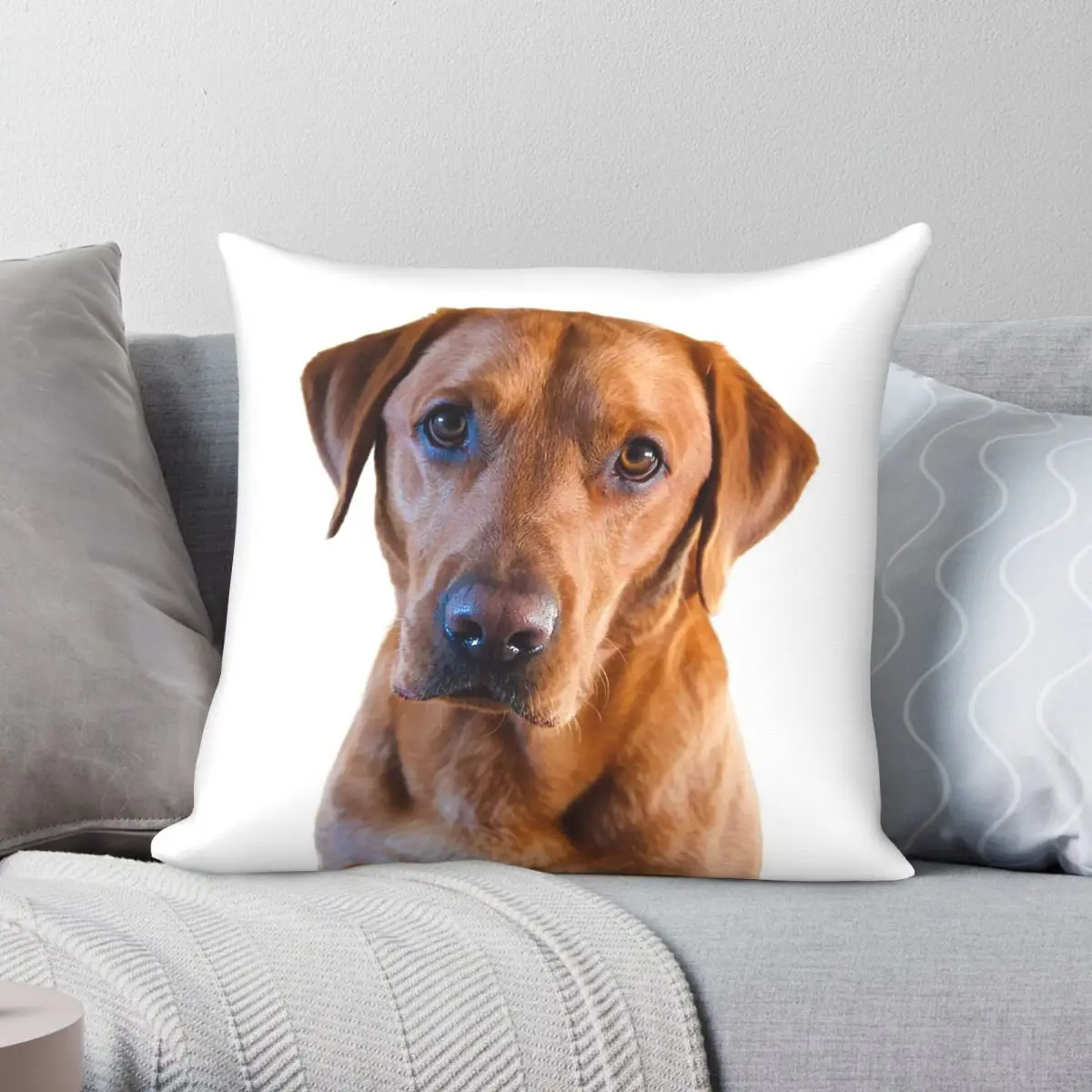 Stunning Fox Red Labrador Square Pillowcase Polyester Linen Velvet Pattern Zip Decor Throw Pillow Case Sofa Cushion Case