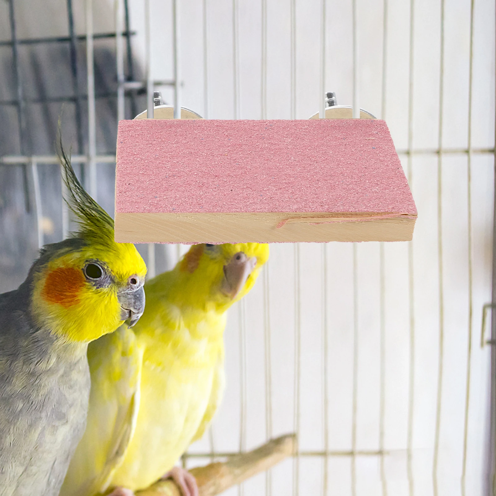 

2 Pcs Bird Cage Wear-Resistant Bird Stand Parakeet Toys Durable Parrot Stand Interesting Platform Accessories Pet Supplies