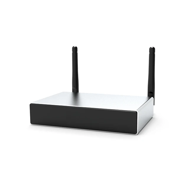 

DSPPA Dw0235 Wireless Wifi Audio Router Music Streamer
