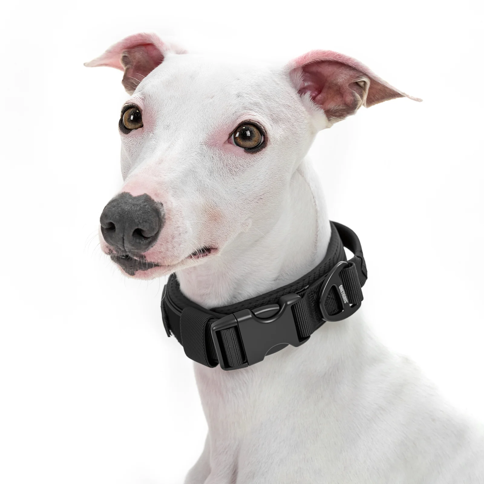 Collar De Estrangulamiento Para Perros P Cadena De Metal Con Etiqueta De Identificacion Para Entrenamiento De Mascotas Pequenas Medianas Y Grandes 2 0 Mm X 40 Cm