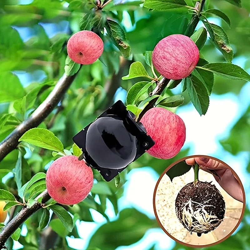 

Многоразовый шарик для корней растений 8 см — комплект прозрачного воздушного слоя, легко режущийся и прививка, подходит для роз и садовых растений