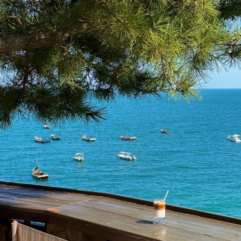 

GEPRC SPEEDX2 1505 4300KV Brushless Motor 20-30A 16.8V - Black for 2.5-3.5 Inch FPV Racing RC Models