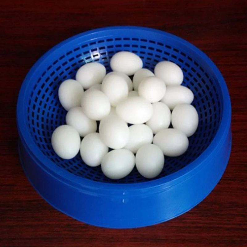 367A 5Pcs Artificial Bird Eggs Solid Parrot Plastic Eggs Parakeet False Hatching Eggs