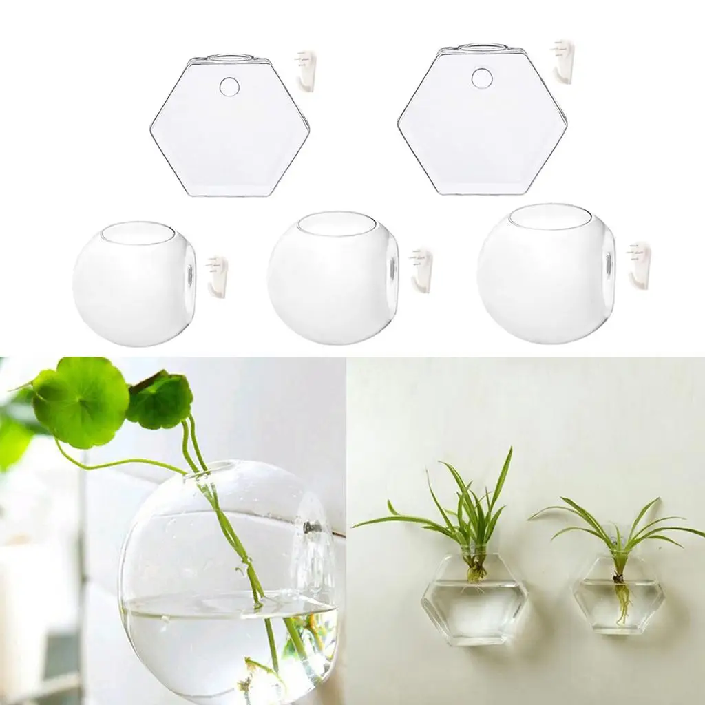 Glass Wall Flowerpot Transparent Hydroponic Planter Indoor Plant Vase for Restaurant Decoration