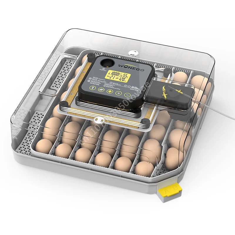 Fully Automatic Min 48 Eggs Incubator with Dual Power