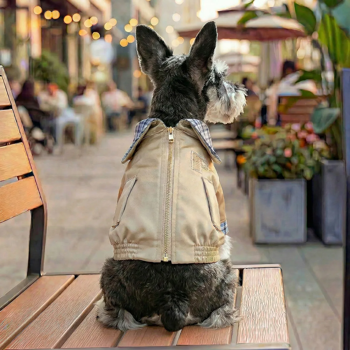 petcircle-giacca-a-quadri-con-zip-e-colletto-per-cani-e-gatti-di-piccola-taglia-comoda-per-primavera-e-autunno