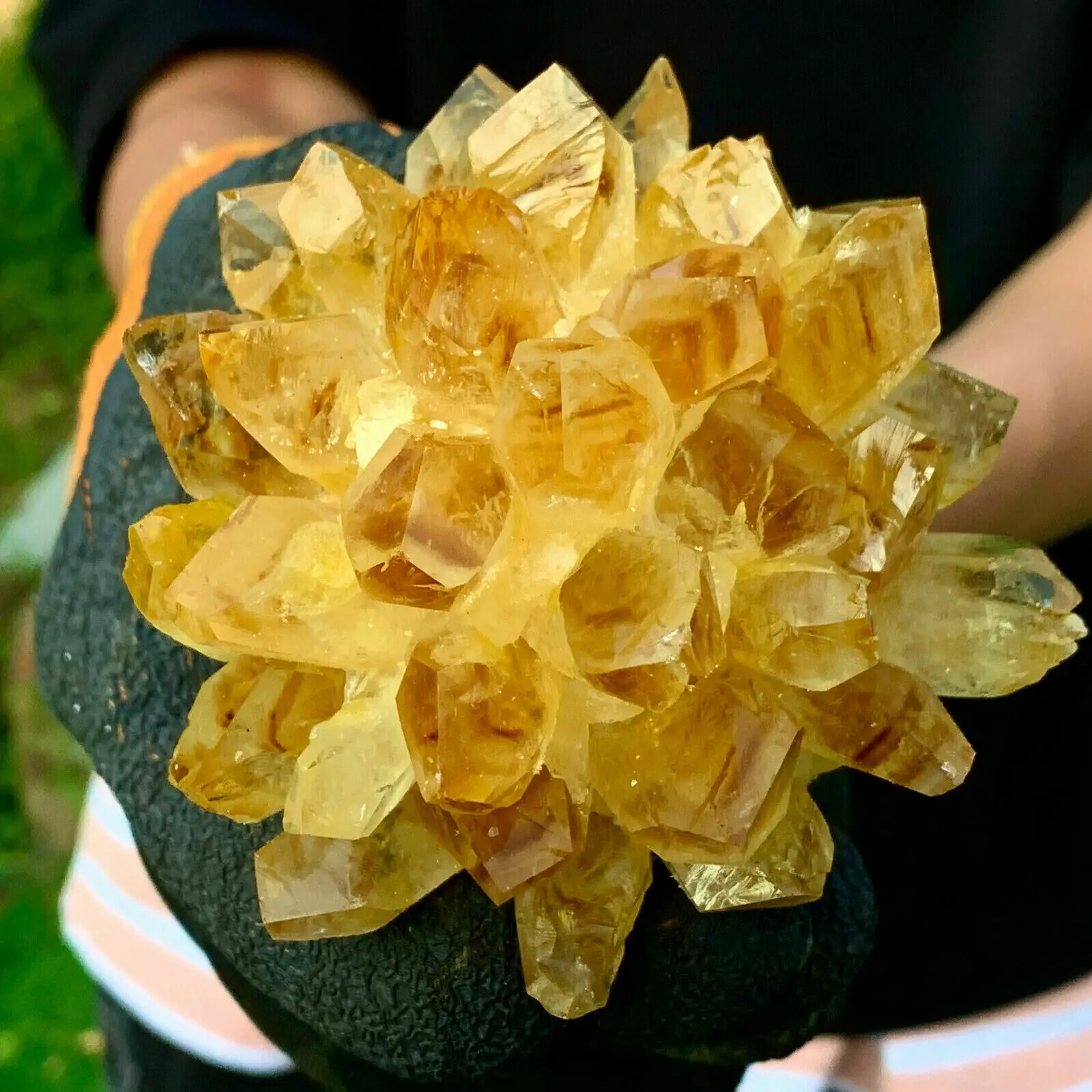 New Find Natural Yellow Phantom Quartz Crystal Cluster Mineral Specimen Healing