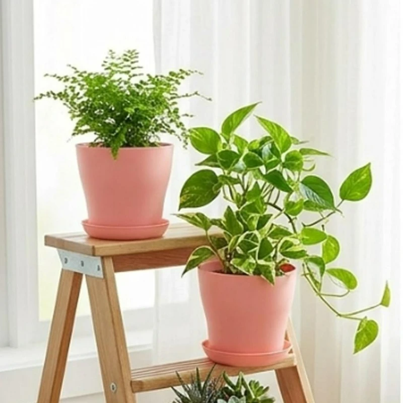 Plant Pot Set with Drainage Holes and Matching Tray PP Resin Colorful Planter for Indoor Succulent Cactus Herb Garden Windowsill view 4