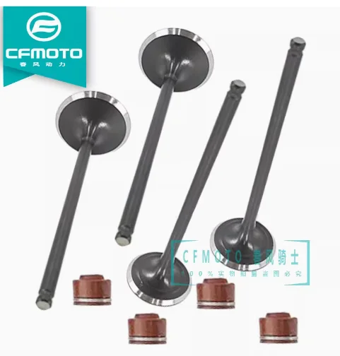 

2pcs Intake Valve and 2pcs exhaust Valve and 4pcs sealings suit CF250 Jetmax or CF250NK/250SR