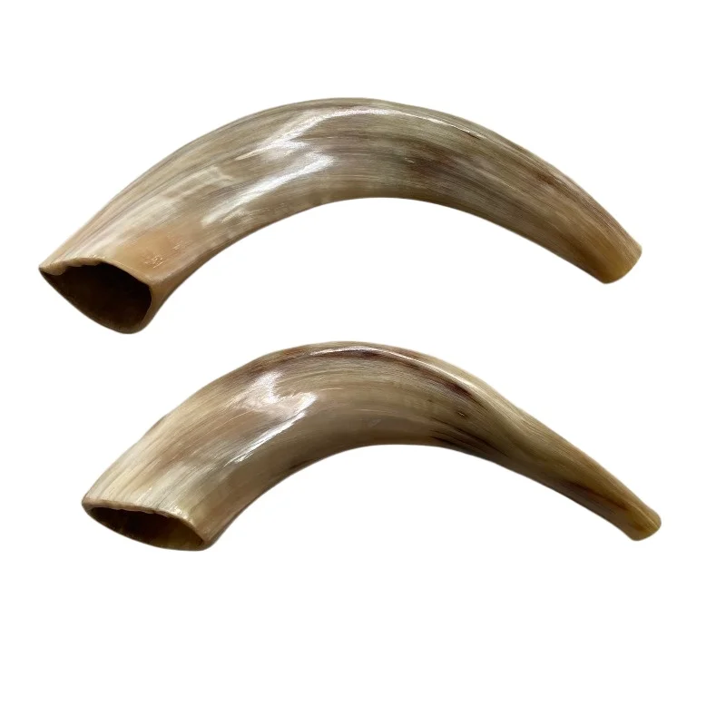 

Genuine Polished Shofar Natural Rams Horn Handcrafted Jewish Israel Horn Musical Instrument for Rosh Hashanah Religious Ritual