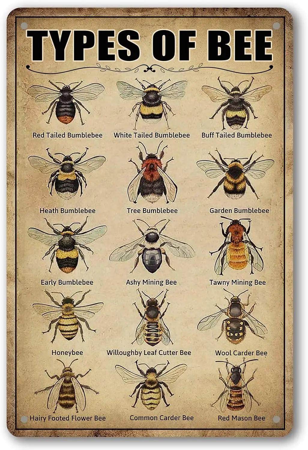 Vintage Bee Knowledge Tin Sign - Retro Metal Wall Art Decor for Classroom and Bathroom Insect Hanging Poster